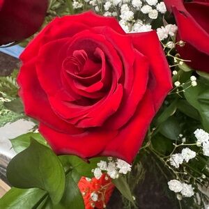 Meet your Posher, Robin